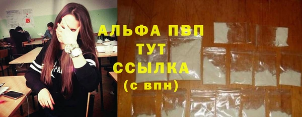 гидра Аркадак