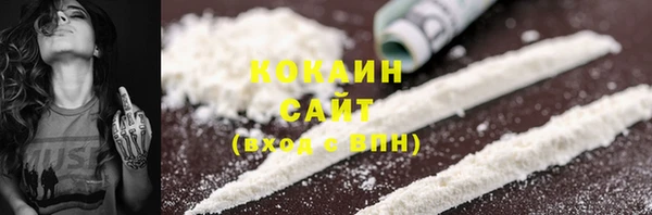 гидра Аркадак