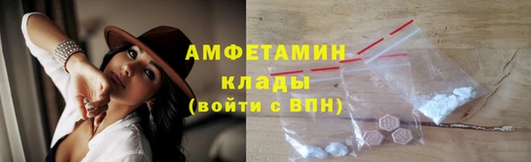 гидра Аркадак