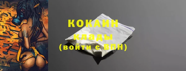 гидра Аркадак