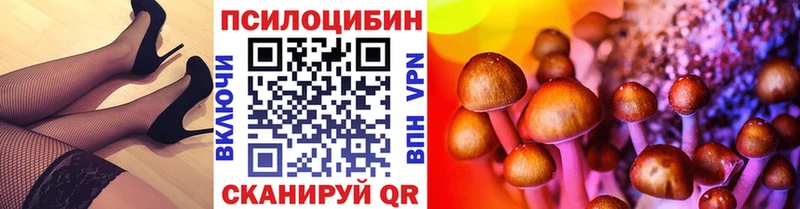 закладка  ОМГ ОМГ рабочий сайт  Псилоцибиновые грибы ЛСД  Прохладный 